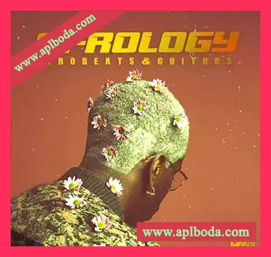 [非洲节奏吉他素材]Inqboi Afrology Afrobeats and Guitars [WAV, MiDi]（281Mb）