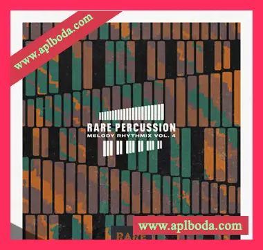 [民族氛围电子采样]RARE Percussion Melody Rhythmix Vol.4 [WAV]（1.13Gb）