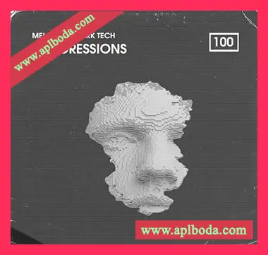 [暗黑科技前卫浩室采样]Bingoshakerz Melodic and Dark Tech Progressions [WAV, REX]（399Mb）