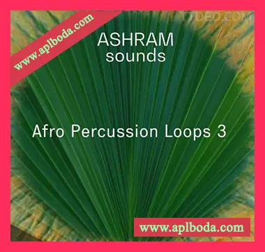 [非洲节奏打击乐科技浩室采样]Riemann Kollektion ASHRAM Afro Percussion Loops 3 [WAV]（103Mb）