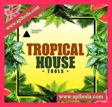 [Tropical热带休闲舞曲素材Sylenth1预置]The Audio Bar Tropical House Tools [WAV, MiDi]（144.84Mb）