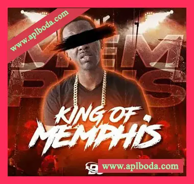[嘻哈陷阱采样]Big Citi Loops King Of Memphis 1 [WAV]（52Mb）