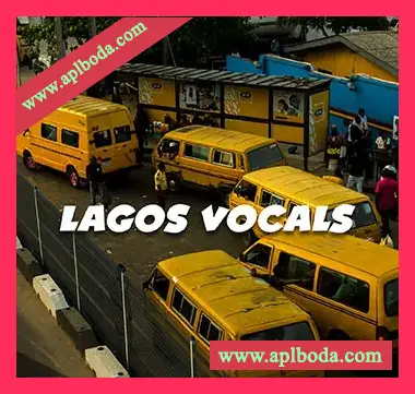 [非洲节奏人声采样]VOCAL GXD Lagos Vocals [WAV]（35Mb）