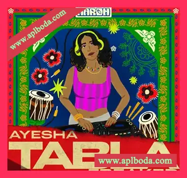 [民族塔布拉打击乐采样]Aaroh Ayesha Freaked Tabla [WAV]（69Mb）