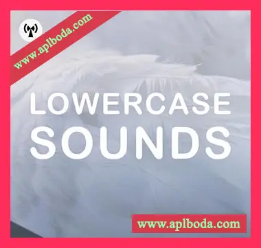 [影视氛围采样]Noiiz Lowercase Sounds [WAV]（537Mb）
