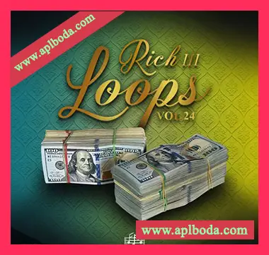 [嘻哈陷阱采样]DiyMusicBiz Rich Loops Vol 24 [WAV]（15Mb）