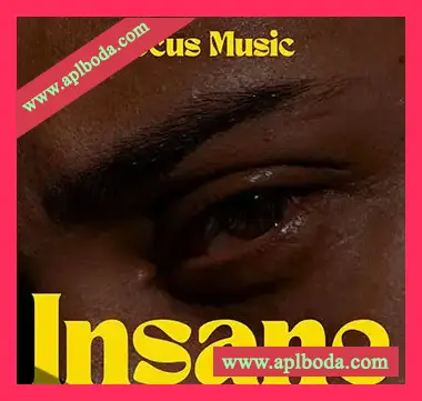 [Trap陷阱采样]Focus Music Insane [WAV]（85.46Mb）