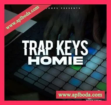 [嘻哈陷阱RnB采样]HOOKSHOW Trap Keys Homie [WAV]（58Mb）