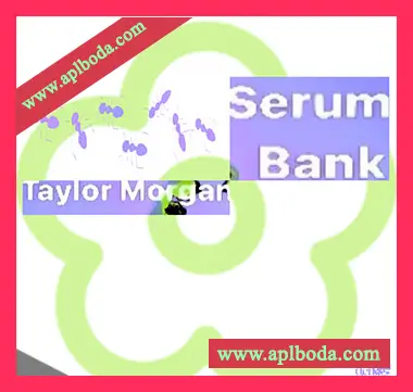 [Serum预置流行嘻哈]Taylor Morgan Serum Bank 1（5Mb）