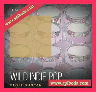 [流行摇滚采样]That Sound Wild Indie Pop [WAV]（591Mb）