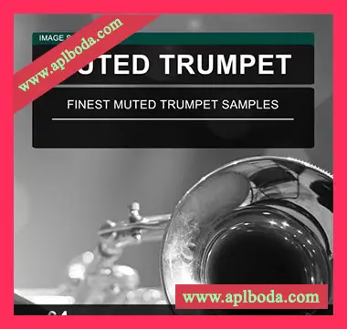 [闷音小号采样]Image Sounds Muted Trumpet 04 [WAV]（12Mb）