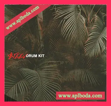 [嘻哈陷阱RnB采样]$teev Drumkit Vol.1 [WAV]（2.68Gb）