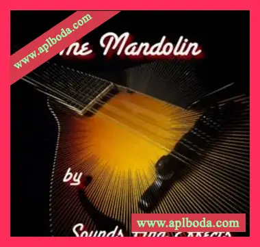 [曼陀林音源]Sounds And Effects The Mandolin [KONTAKT]（497Mb）