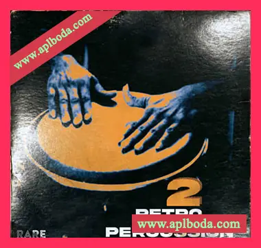 [怀旧灵魂RnB打击乐采样]RARE Percussion Retro Soul Percussion Vol.2 [WAV]（260Mb）