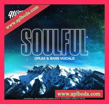 [鼓打贝斯人声采样]91Vocals Soulful Drum and Bass Vocals [WAV]（645Mb）