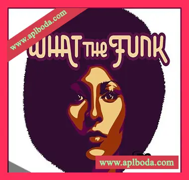 [爵士放克福音乐采样]Big Citi Loops What The Funk [WAV]（177Mb）