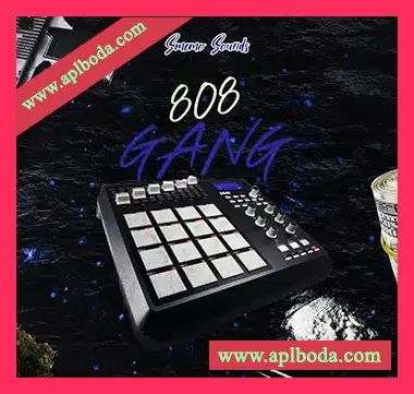 [Trap陷阱808素材]SMEMO Sounds Smemo 808 Gang [WAV, MiDi]（172Mb）