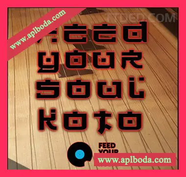 [日本古筝采样]Feed Your Soul Music Koto [WAV]（203Mb）