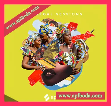 [民族素材Serum预置]Splice Sessions Senegal Sessions [WAV, MiDi]（697Mb）