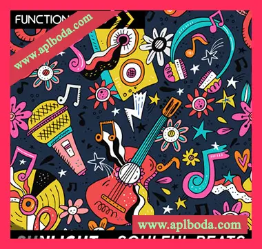 [灵魂RnB采样]Function Loops Sunlight Soulful Beats [WAV]（342Mb）