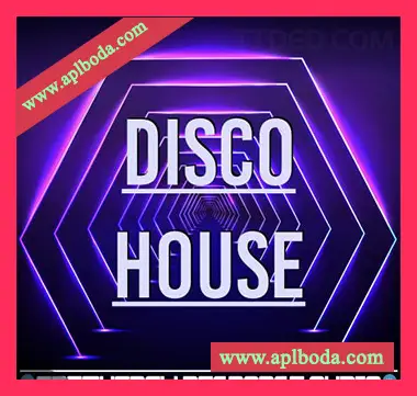 [迪斯科深邃浩室采样]Frequency Response Audio Disco House [WAV, AiFF]（70Mb）