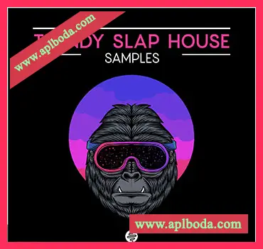 [SlapHouse素材]OST Audio Trendy Slap House [WAV, MiDi]（173.93Mb）