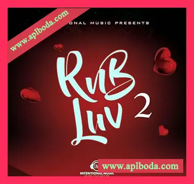 [灵魂嘻哈RnB采样]Big Citi Loops RnB Luv Vol.2 [WAV]（120Mb）