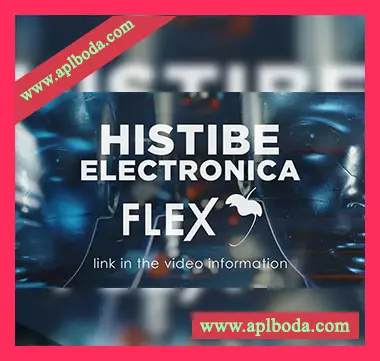 [Flex预置电子]Image-Line Flex Expansion Electronica by Histibe（4Mb）