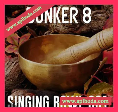 [影视打击乐Bowl采样]Bunker 8 Digital Labs Bunker 8 Singing Bowl Percussive Loops 001 [WAV]（223Mb）