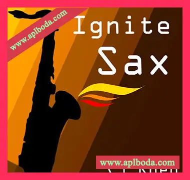 [流行萨克斯采样]Cj Rhen Ignite Sax [WAV]（45Mb）