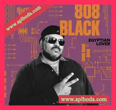 [电子乐采样]Signal Path Egyptian Lover 808 Black [WAV]（56Mb）