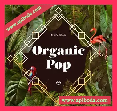 [流行民族长笛采样]Gio Israel Organic Pop – Global Flutes [WAV]（845Mb）