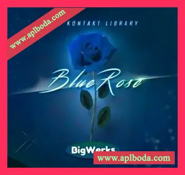 [蓝玫瑰RnB综合音源]BigWerks Blue Rose [KONTAKT]（1.97Gb）