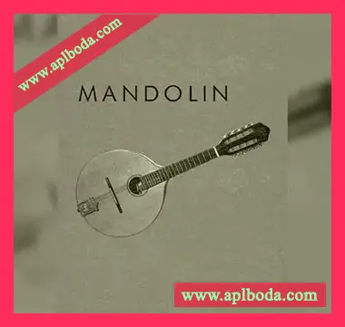 [曼陀林音源]Cinematique Instruments Mandolin [KONTAKT]（204Mb）