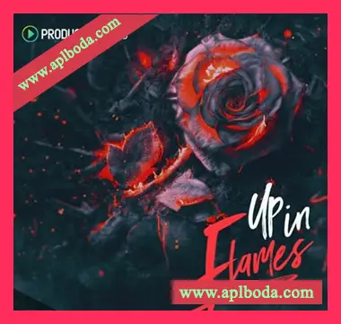 [流行乐素材]Producer Loops Up In Flames [多格式]（3.64Gb）