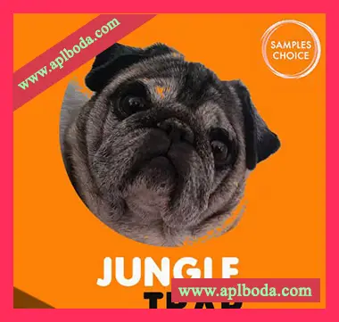 [嘻哈陷阱采样]Samples Choice Jungle Trap [WAV]（26Mb）