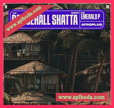 [非洲节奏穆巴松采样]Afroplug Dancehall Shatta Essentials [WAV]（622.52Mb）