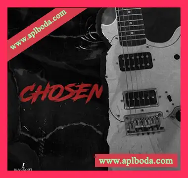 [Trap陷阱采样]Blvckout Chosen [WAV]（950Mb）