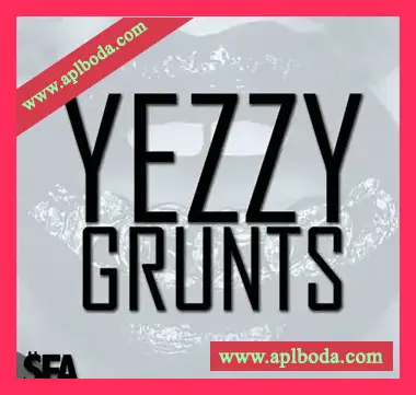 [嘻哈说唱素材]3 Digi Audio Yezzy Grunts [WAV, MiDi]（118Mb）