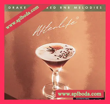 [RnB采样]Rip Speakers Afterlife Drake Inspired RnB Melodies [WAV]（389Mb）