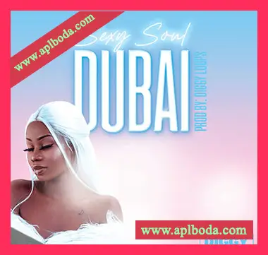 [灵魂RnB采样]Diggy Loops Sexy Dubai [WAV]（46Mb）