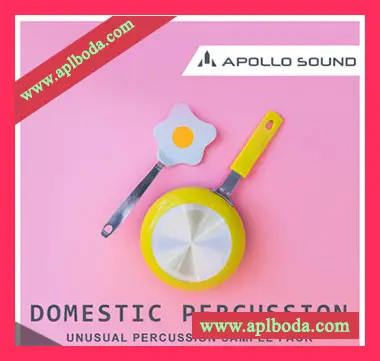 [家庭打击乐器素材]APOLLO SOUND Domestic Percussion [多格式]（304Mb）