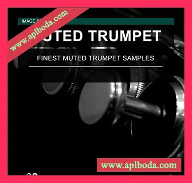 [闷音小号采样]Image Sounds Muted Trumpet 03 [WAV]（16Mb）