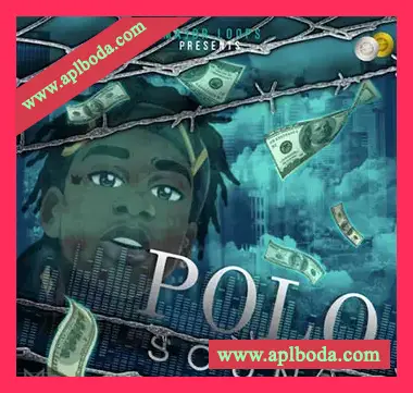 [嘻哈陷阱采样]Major Loops Polo Sound [WAV]（204Mb）