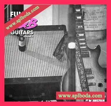 [放克RnB吉他采样]New Beard Media Funky R&B Guitars Vol 2 [WAV]（115Mb）