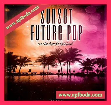 [未来流行素材Spire预置Serum预置]Mainroom Warehouse Sunset Future Pop [多格式]（918Mb）