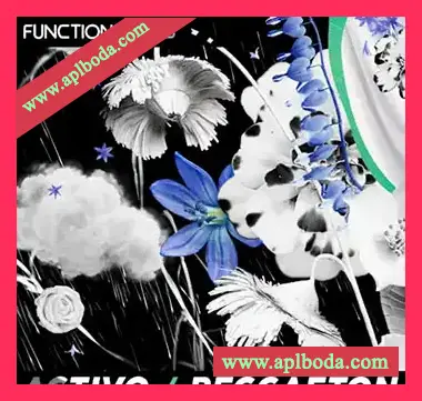 [拉丁雷击顿采样]Function Loops ACTIVO – Reggaeton [WAV]（153Mb）