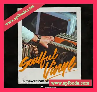 [灵魂RnB采样]Origin Sound Soulful Vinyl [WAV]（829Mb）