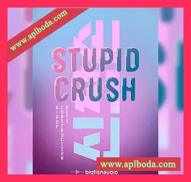 [流行乐采样]Big Fish Audio Stupid Crush K-Pop [WAV]（1.48Gb）