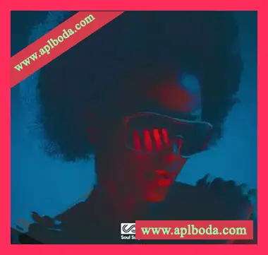 [灵魂RnB采样Astra预置]Soul Surplus Slow Dance Soul Ballads（250Mb）